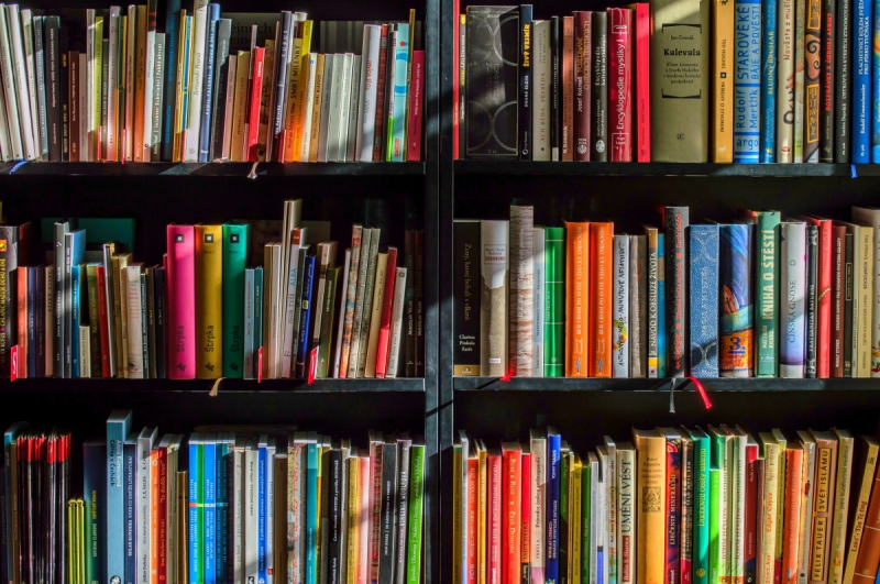magasin-VENANSON-min_books_bookstore_book_reading_shop_writer_sale_books_read-822866